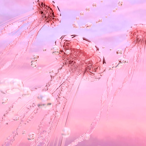 학교 (Feat. 김세헌) (School) (学校)