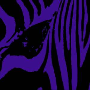 Warped Tunes (Original Mix)