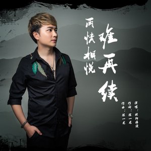 两情相悦难再续 (DJ何鹏版)封面