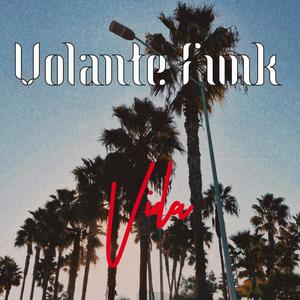 Vida (feat. Radix Borealis & DJ Hechizo) (Explicit)