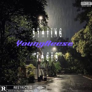 Stating Facts (Explicit)