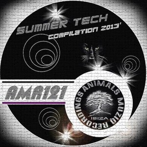 Summer Compilation Tech 2013