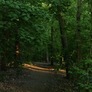 Pflanzengießen