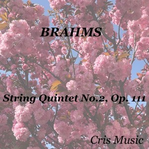 Brahms: String Quintet No.2, Op. 111