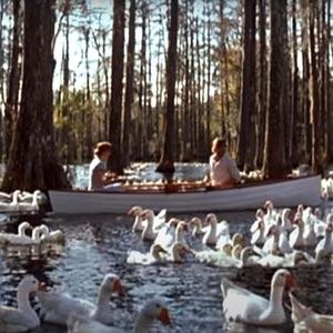 Reject2Protect (Explicit)