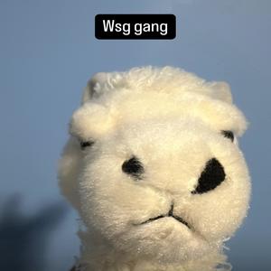 snowless winters: Wsg gang llama sh1tp0st