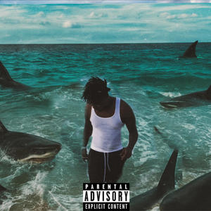 Shark (Remix|Explicit)
