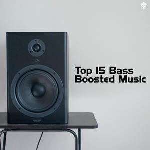 Top 15 Bass Boosted Music