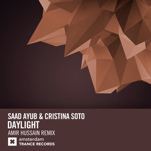 Daylight (Amir Hussain Extended Mix)