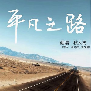 平凡之路 (DJ版)