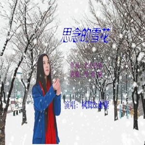 思念的雪花 (对唱版)