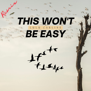 This Won't Be Easy (DJ Nigel Remix)