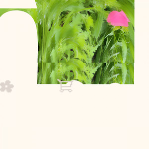 Flora / Fauna (Clay's canopy mix)