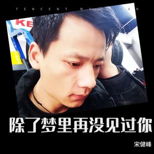 除了梦里再没见过你