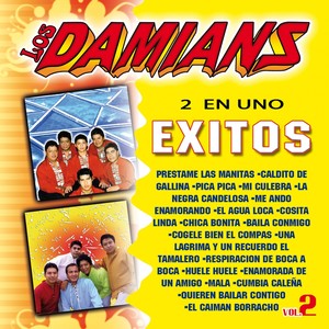 2 en Uno: Exitos de Los Damians, Vol. 2