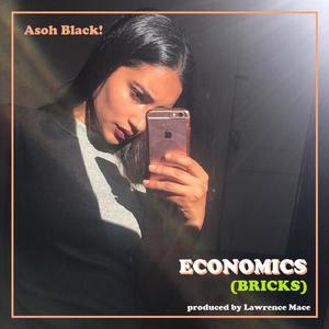 Economics (Bricks)