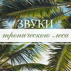 Звуки тропического леса - Топ музыка релакс со звуками природы, птицы и вода