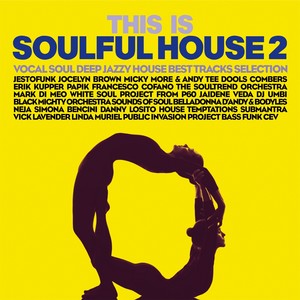 The Last Day(feat. James Lavonz) (Deepsearcher Mix)