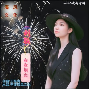 寂寞烟火 (珍藏版伴奏)