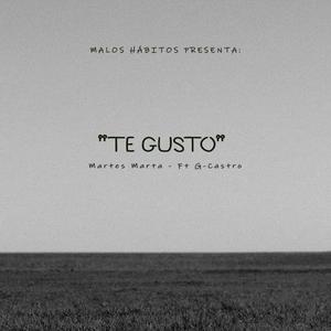 Te Gusto (feat. Martes Martha)