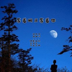 等着明月等着你