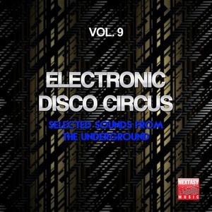 Electro Echo (Loveforce Remix)