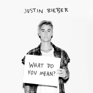 What Do You Mean?(Leonaka Remix)