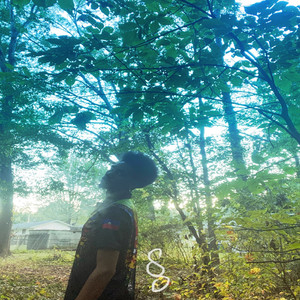 Post Mortem Chamber - Post Mortem Chamber