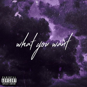 What You Want (Explicit)