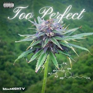 Too Perfect (feat. WeeMighty) [Explicit]