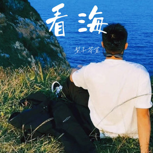 我不后悔 (烟嗓版) - 梨子芥菜封面