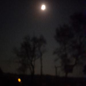 into the night (slowed + reverb)