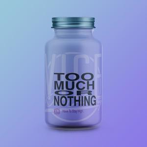 Too Much Or Nothing (Explicit)