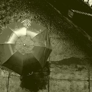 一尘不染专注印象数