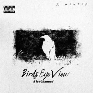 Birds Eye View (AlotChanged) [Explicit]