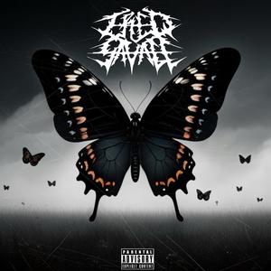 Black Butterflies (Explicit)