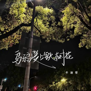 乌鸦爱上铁树花