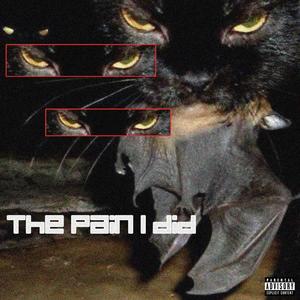 the pain i did (feat. Connie Mudd) [Explicit]