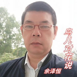 鸟儿对花说 (DJ版)