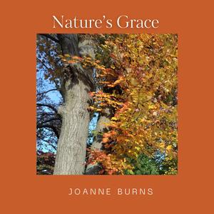 Naturre's Grace (feat. Jimi Durso)