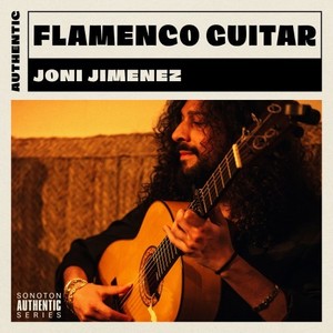 Flamenco Guitar