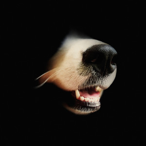 When Things Fall Apart