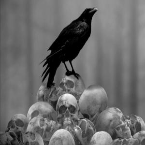 Il canto del corvo (Esplicito) (Explicit)