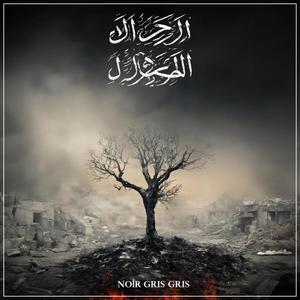 Noir Gris Gris - Je l'ai vu