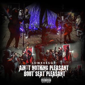 Aint Nothing Pleasant Bout Seat Pleasant (Explicit)