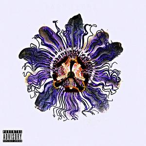 PASSIFLORA (Explicit)