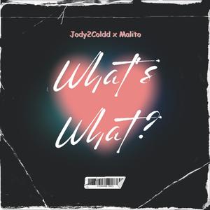 What's What? (feat. Jody2Coldd) [Explicit]