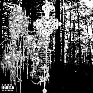 ¿crocialcontrario¿ (feat. besnap) (Explicit)