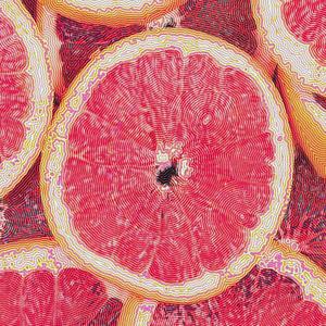 grapefruit (feat. Andr3w J0hn & biichftt) [Explicit]