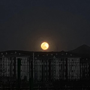 尕尔东《在日落前拥抱》[MP3_LRC]_MP3下载